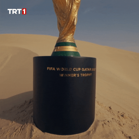 World Cup Futbol GIF by TRT
