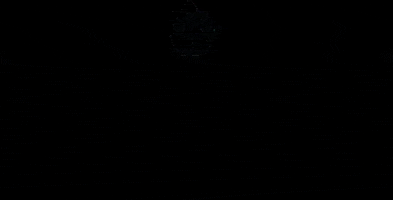 Hlohovec GIF by FRASTAK