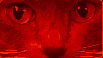 What GIF by PBS Brakes