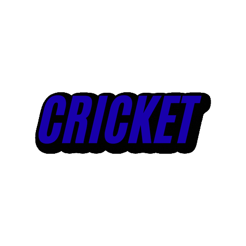Sport India Sticker by Jennifer Greenhill