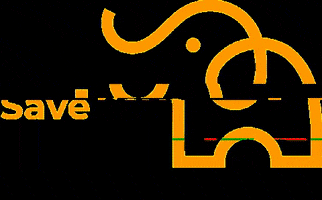 Gezelschap Leeghwater GIF