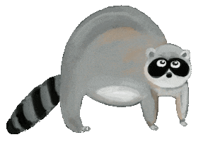 Raccoon Sticker by Tomboy