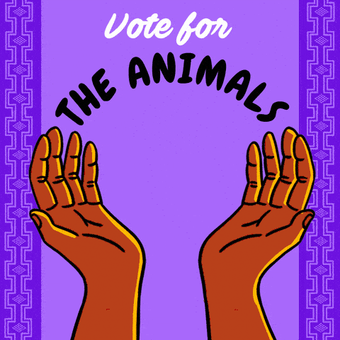 Vote for the animals, earth, waters, land Oneida