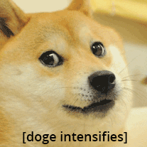 Dogecoin Doge Intensifies GIF by Huobi thumbnail