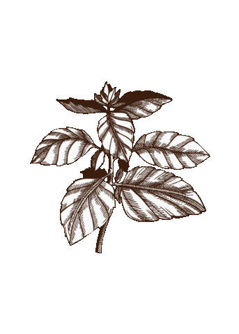 Sibb Sticker by Sibbitter