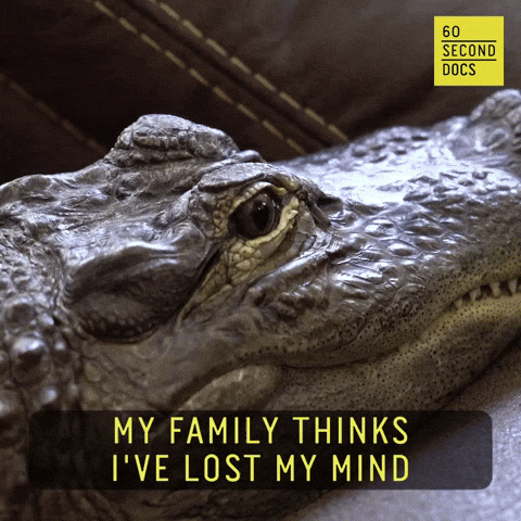 Lost My Mind Gifs Get The Best Gif On Giphy