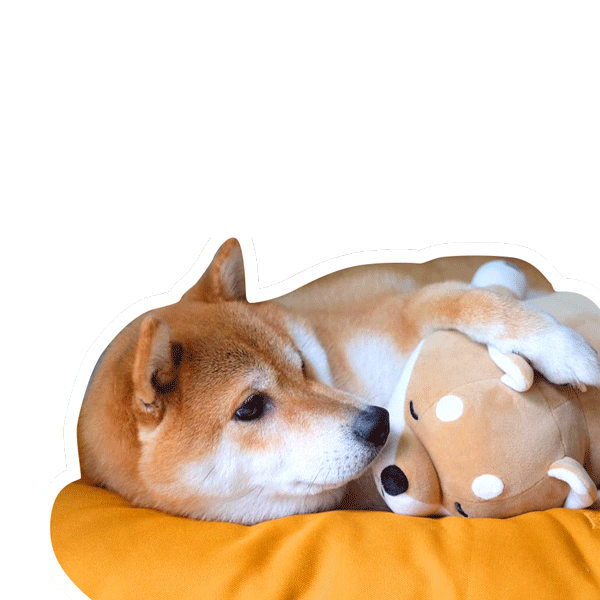 Valentine Shiba Sticker by adlibfashion