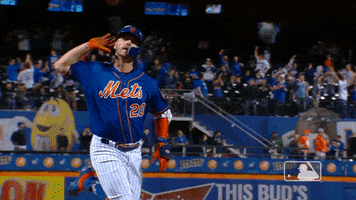 hear lets go GIF by New York Mets