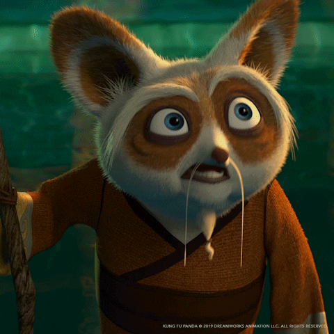 Kung Fu Wow GIF by DreamWorks Animation