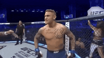 Let&#39;S Go Sport GIF by UFC