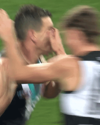 High Five Celebration GIF by Port Adelaide FC