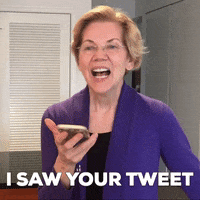 team warren i saw your tweet GIF by Elizabeth Warren