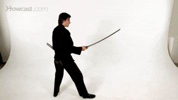 davidhowcast lunge GIF