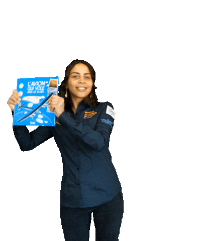 Book Lavion Qui Vole Avec Le Soleil Sticker by Solar Impulse