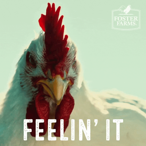 fosterfarms reaction happy excited chicken GIF