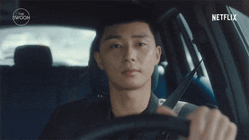 Netflix Driving GIF by The Swoon
