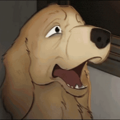 Cat Animation GIF