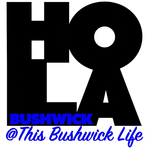 New York Hello GIF by This Bushwick Life