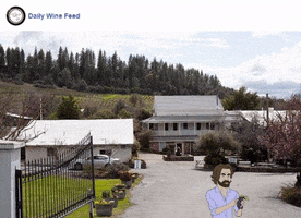 winery wines GIF by Gifs Lab