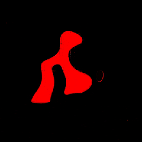 Nixt Agency GIF