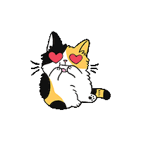 cat love Sticker by meowbox
