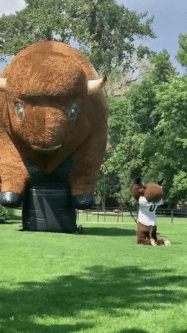 Happy University Of Colorado GIF by CUBoulder