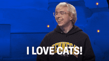 Game Show Cat GIF by ABC Network
