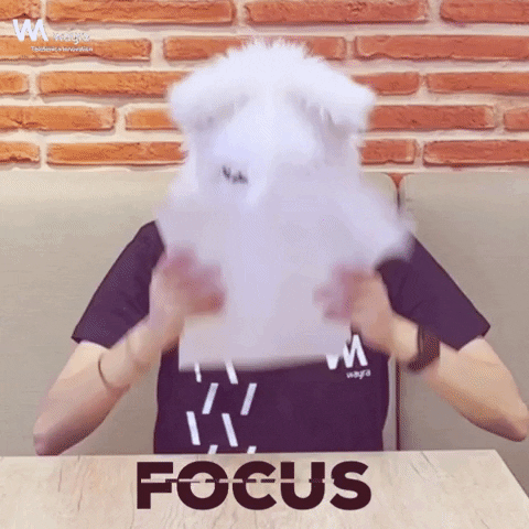 Wolf Focus GIF by Wayra