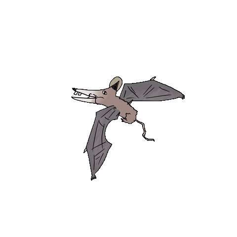 Bat Sticker