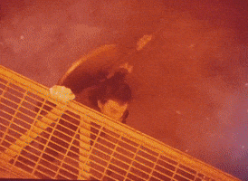 Stranger Things Steve GIF