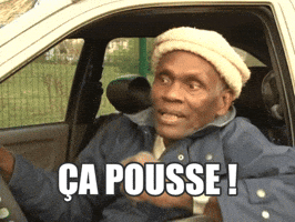 Burrito  GIF