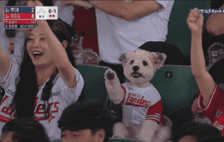 Cheer Up Win GIF