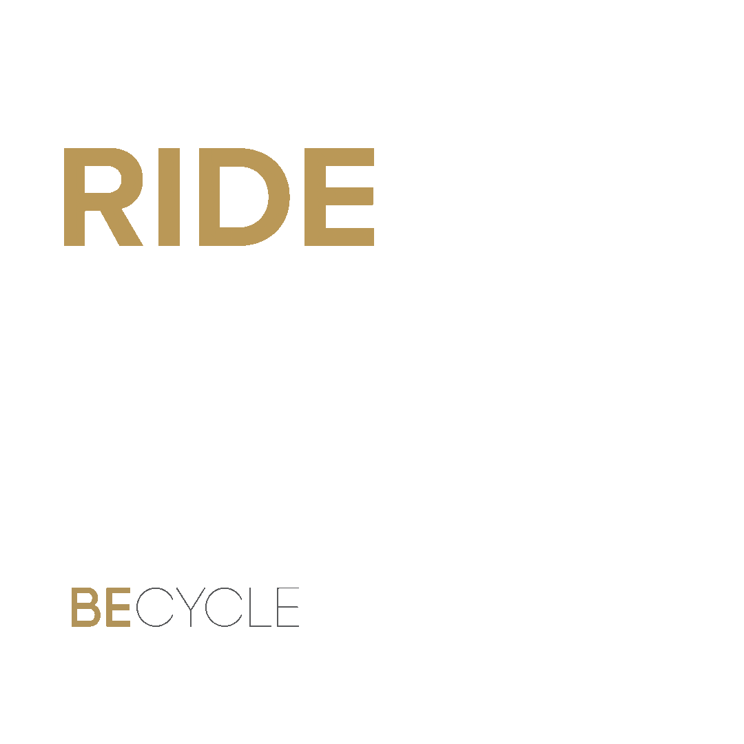 BeCycle Sticker
