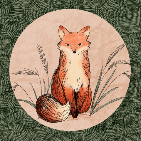 Red Fox Animation GIF