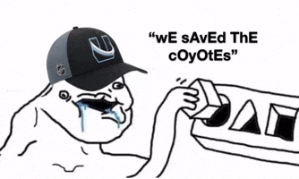 Arizona Coyotes GIF