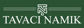 Tavaci Namik GIF