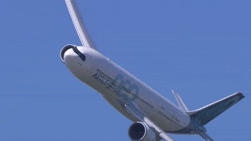 In The Sky Plane GIF by Safran