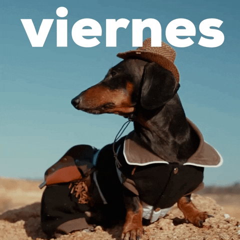 Es Viernes GIF by Sealed With A GIF