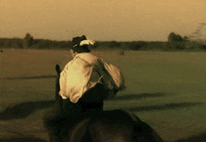 Film Horse GIF