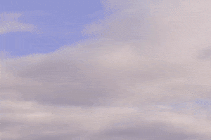 Washington State City GIF by 50statesproject