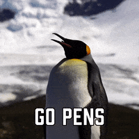 Pittsburgh Penguins Sport GIF by Sealed With A GIF
