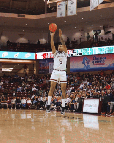 College Of Charleston Cougars GIF by Charleston Basketball