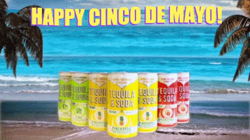 Cinco De Mayo Dancing GIF by Dulce Vida Tequila