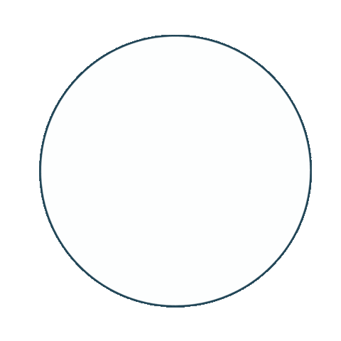 Cairo Sticker by DESE Crew Management