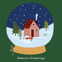 Seasons Greetings Snow GIF by golden freckles