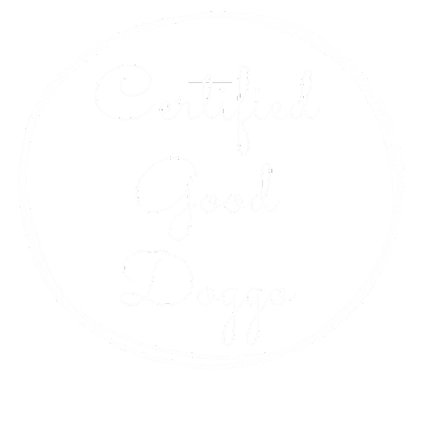 Dog Trainer Sticker by Blue9PetProducts
