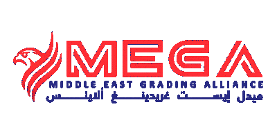 Megagrading Sticker by MEGA