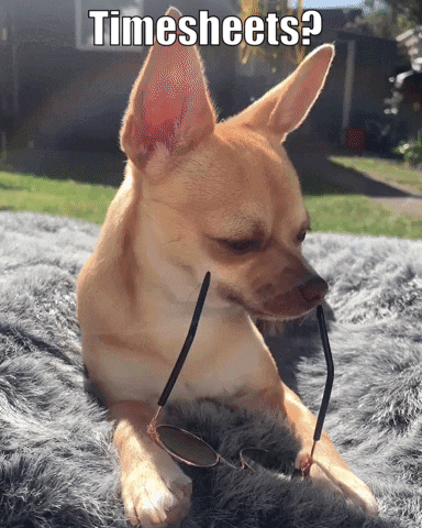 Hornoftimesheets GIF