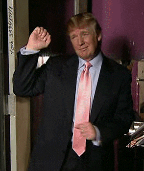 Donald Trump GIF - Donald Trump GIF