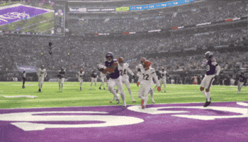 Football Celebration GIF by Minnesota Vikings